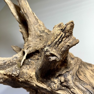 WallRootDeco II (60 x 60 cm, 6 kg) - otthon & életmód - dekoráció - fali és függő dekoráció - falra akasztható dekor - Meska.hu