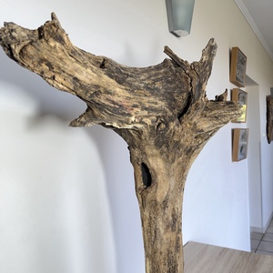 TableRootDeco III (80 x 50 cm, 6 kg) - Meska.hu