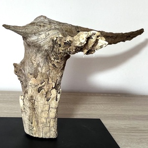 TableRootDeco VI (50 x 35 cm) - Meska.hu