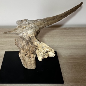 TableRootDeco VI (50 x 35 cm) - otthon & életmód - dekoráció - dísztárgy - Meska.hu TableRootDeco VI (50 x 35 cm) - otthon & életmód - dekoráció - dísztárgy - Meska.hu