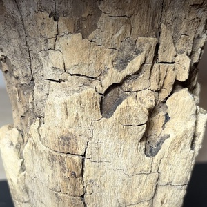 TableRootDeco VI (50 x 35 cm) - otthon & életmód - dekoráció - dísztárgy - Meska.hu TableRootDeco VI (50 x 35 cm) - otthon & életmód - dekoráció - dísztárgy - Meska.hu