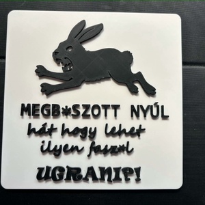 Megb szott nyúl, hát hogy tudsz.... mém - Meska.hu