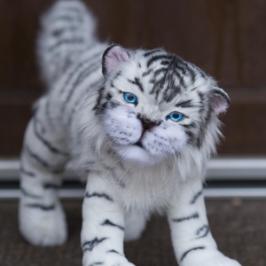 Élethű fehér tigris plüss állat, művész plüss tigris - játék & sport - plüssállat & játékfigura - cica - Meska.hu
