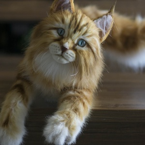 Élethű, realisztikus Maine Coon macska plüss portré rendelésre, Maine Coon cica, macskás ajándék, cicás ajándék - játék & sport - plüssállat & játékfigura - cica - Meska.hu