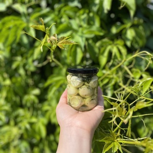 Pácolt-füstölt-főtt fürj tojás, Élelmiszer, Gourmet ajándékcsomag, , MESKA