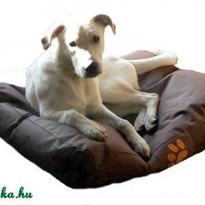 Kutyaágy babzsákból -  - Meska.hu