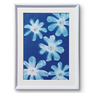 Cianotípiával készült kép, nyomat. Pillangóvirágok a kék csendben.   - Meska.hu