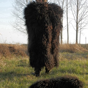 Suba, bunda - pásztor viselet/ betlehemes, regős, vadász kellék - fekete -  - Meska.hu