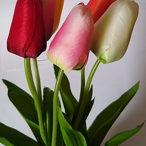 Selyem szálas tulipán , Otthon & Életmód, Dekoráció, Virágdísz és tartó, Csokor & Virágdísz, , MESKA