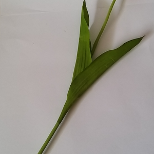 Selyem szálas tulipán  - otthon & életmód - dekoráció - virágdísz és tartó - csokor & virágdísz - Meska.hu
