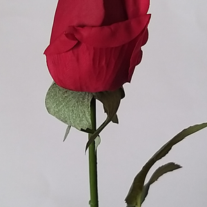 Szálas rózsa - Meska.hu