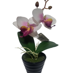 Orchidea kaspóban - otthon & életmód - dekoráció - virágdísz és tartó - csokor & virágdísz - Meska.hu