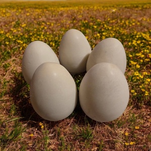 Gipsz tojások (5db) - Meska.hu