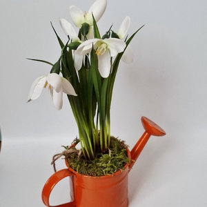 Gyere Tavasz! Hóvirágos  kanna- tavaszi dekoráció, asztaldísz, húsvéti dísz - ünnepi díszek, dekorációk - húsvéti díszek és dekorációk - húsvéti asztaldíszek - Meska.hu