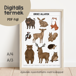 Erdei állatok poszter (nyomtatható) - játék & sport - készségfejlesztő és logikai játék - oktató játékok - Meska.hu