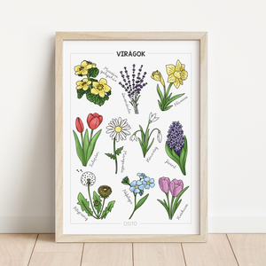 Virágos poszter csomag (2 db A4 poszter) - otthon & életmód - dekoráció - kép & falikép - poszter - Meska.hu