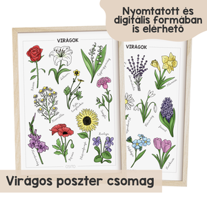 Virágos poszter csomag (2 db A4 poszter) - Meska.hu