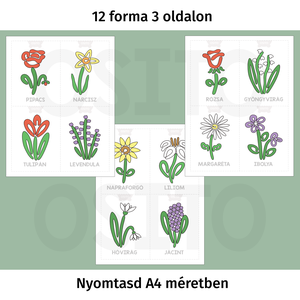 Virágok gyurmalap csomag - PDF - játék & sport - készségfejlesztő és logikai játék - oktató játékok - Meska.hu
