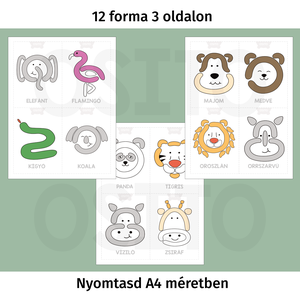 Állatkerti állatok gyurmalap csomag - PDF - játék & sport - készségfejlesztő és logikai játék - oktató játékok - Meska.hu