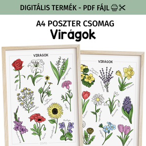 Virágok poszter csomag - PDF, Otthon & Életmód, Dekoráció, Kép & Falikép, Poszter, Fotó, grafika, rajz, illusztráció, MESKA