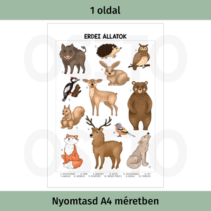 Erdei állatok poszter - PDF - otthon & életmód - dekoráció - kép & falikép - poszter - Meska.hu