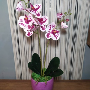 Élethű orchidea, lila kaspóban, Otthon & Lakás, Dekoráció, Virágdísz és tartó, Csokor & Virágdísz, Virágkötés, MESKA