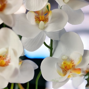 Fehér színű kétágú élethű orchidea színes agyagkaspóban ORK214FH - otthon & életmód - dekoráció - virágdísz és tartó - csokor & virágdísz - Meska.hu