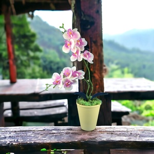Ciklámen és krémszínű kétágú élethű orchidea színes agyagkaspóban ORK215CIKR, Otthon & Lakás, Dekoráció, Virágdísz és tartó, Csokor & Virágdísz, Virágkötés, MESKA