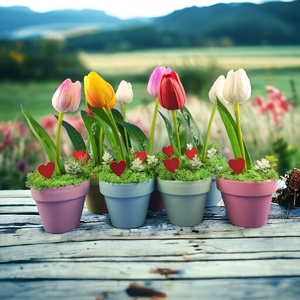 Tulipán színes kis cserépben, Otthon & Lakás, Dekoráció, Virágdísz és tartó, Csokor & Virágdísz, Virágkötés, MESKA