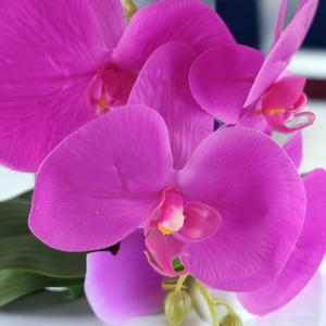 Nagy méretű ciklámen orchidea OR108CI - otthon & életmód - dekoráció - virágdísz és tartó - csokor & virágdísz - Meska.hu