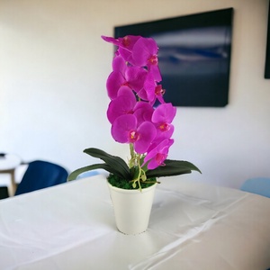 Nagy méretű ciklámen orchidea OR108CI, Otthon & Életmód, Dekoráció, Virágdísz és tartó, Csokor & Virágdísz, Virágkötés, MESKA