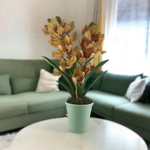 Nagy méretű, kétágú sárgás, mályvás csónakorchidea ORC204SA, Otthon & Életmód, Dekoráció, Virágdísz és tartó, Csokor & Virágdísz, Virágkötés, MESKA