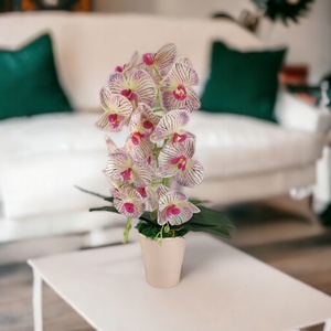 Nagy méretű krém, lila kétszálas orchidea OR206KRLI - otthon & életmód - dekoráció - virágdísz és tartó - csokor & virágdísz - Meska.hu