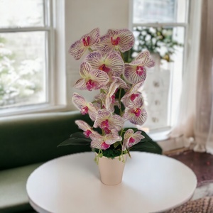 Nagy méretű krém, lila kétszálas orchidea OR206KRLI - otthon & életmód - dekoráció - virágdísz és tartó - csokor & virágdísz - Meska.hu