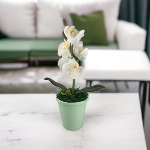 Fehér mini orchidea pasztellszínű agyagkaspóban ORM109FH, Otthon & Lakás, Dekoráció, Virágdísz és tartó, Csokor & Virágdísz, Virágkötés, MESKA