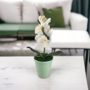 Fehér mini orchidea pasztellszínű agyagkaspóban ORM109FH, Otthon & Életmód, Dekoráció, Virágdísz és tartó, Csokor & Virágdísz, Virágkötés, MESKA