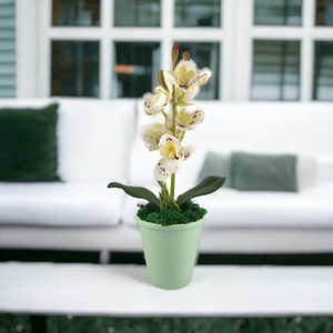 Fehér pöttyös mini orchidea pasztellszínű agyagkaspóban ORM110FH - otthon & életmód - dekoráció - virágdísz és tartó - csokor & virágdísz - Meska.hu