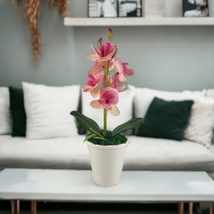 Rózsaszín cirmos mini orchidea pasztellszínű agyagkaspóban ORM111RS - otthon & életmód - dekoráció - virágdísz és tartó - csokor & virágdísz - Meska.hu