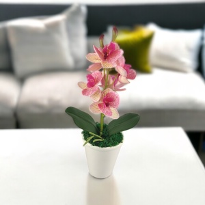 Rózsaszín cirmos mini orchidea pasztellszínű agyagkaspóban ORM111RS, Otthon & Életmód, Dekoráció, Virágdísz és tartó, Csokor & Virágdísz, Virágkötés, MESKA