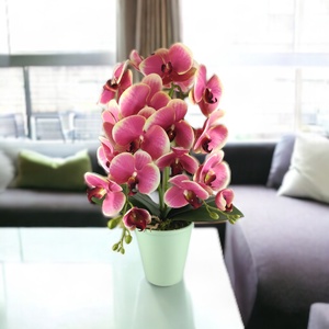 Nagy méretű pink, krémszínű kétszálas orchidea OR208PKKR, Otthon & Lakás, Dekoráció, Virágdísz és tartó, Csokor & Virágdísz, Virágkötés, MESKA