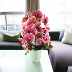 Nagy méretű pink, krémszínű kétszálas orchidea OR208PKKR, Otthon & Életmód, Dekoráció, Virágdísz és tartó, Csokor & Virágdísz, Virágkötés, MESKA