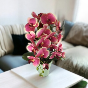 Nagy méretű pink, krémszínű kétszálas orchidea OR208PKKR - otthon & életmód - dekoráció - virágdísz és tartó - csokor & virágdísz - Meska.hu