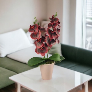 Nagy méretű burgundi kétszálas orchidea OR207BO - otthon & életmód - dekoráció - virágdísz és tartó - csokor & virágdísz - Meska.hu