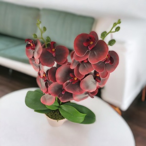Nagy méretű burgundi kétszálas orchidea OR207BO - otthon & életmód - dekoráció - virágdísz és tartó - csokor & virágdísz - Meska.hu