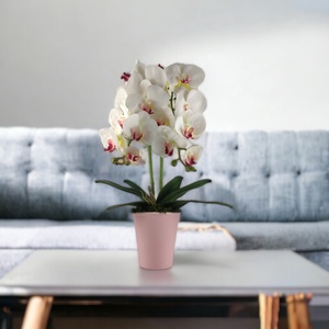 Nagyméretű kétszálas fehér, pink színű orchidea OR210FHPK - otthon & életmód - dekoráció - virágdísz és tartó - csokor & virágdísz - Meska.hu