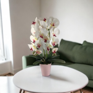Nagyméretű kétszálas fehér, pink színű orchidea OR210FHPK, Otthon & Életmód, Dekoráció, Virágdísz és tartó, Csokor & Virágdísz, Virágkötés, MESKA