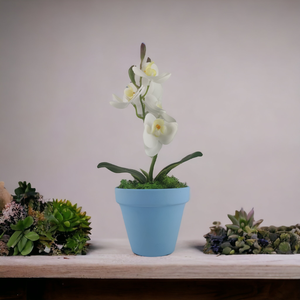 Fehér mini orchidea pasztellszínű agyagkaspóban ORM104FH - otthon & életmód - dekoráció - virágdísz és tartó - csokor & virágdísz - Meska.hu