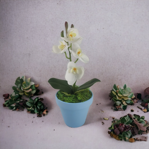 Fehér mini orchidea pasztellszínű agyagkaspóban ORM104FH - Meska.hu
