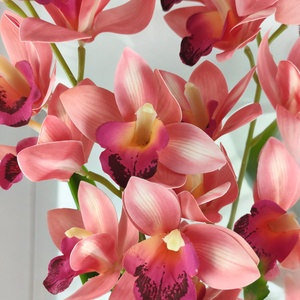 Nagy méretű, kétágú pink csónakorchidea ORC209PK - otthon & életmód - dekoráció - virágdísz és tartó - csokor & virágdísz - Meska.hu