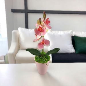 Rózsaszín, fehér mini orchidea pasztellszínű agyagkaspóban ORM115RSFH - otthon & életmód - dekoráció - virágdísz és tartó - csokor & virágdísz - Meska.hu